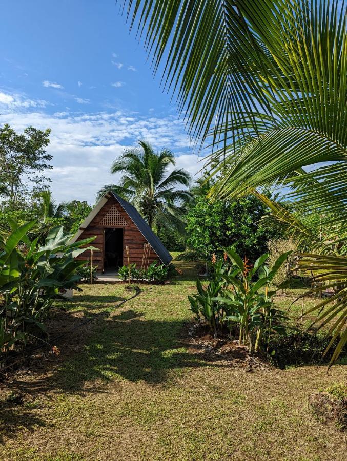 Bewak Cr Hotel Tortuguero Buitenkant foto