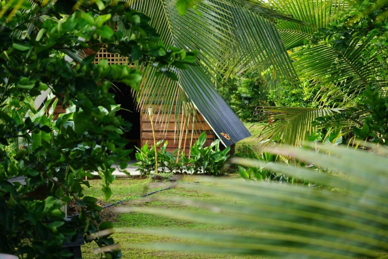 Bewak Cr Hotel Tortuguero Buitenkant foto