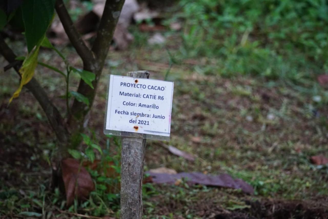 Bewak Cr Hotel Tortuguero Buitenkant foto