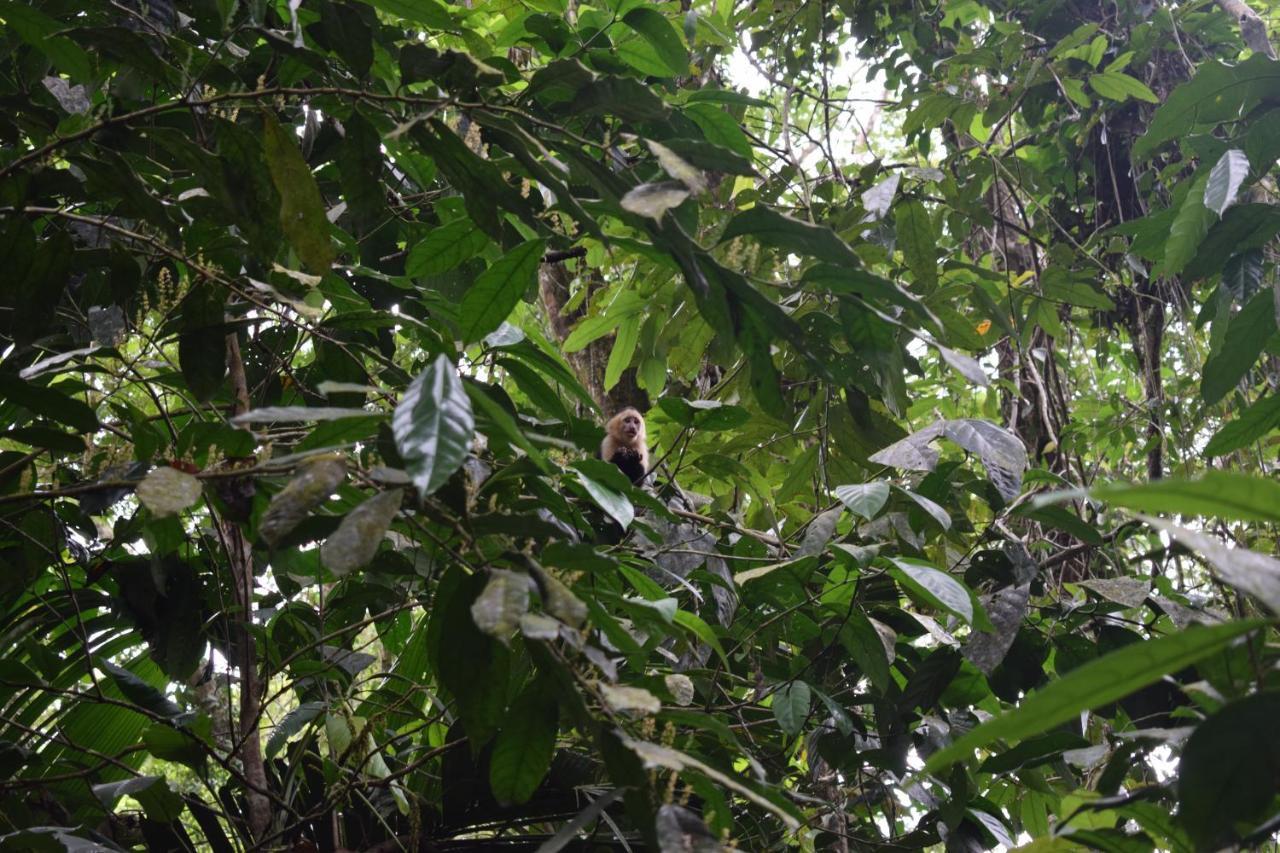 Bewak Cr Hotel Tortuguero Buitenkant foto