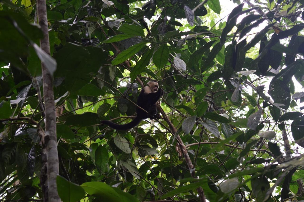 Bewak Cr Hotel Tortuguero Buitenkant foto