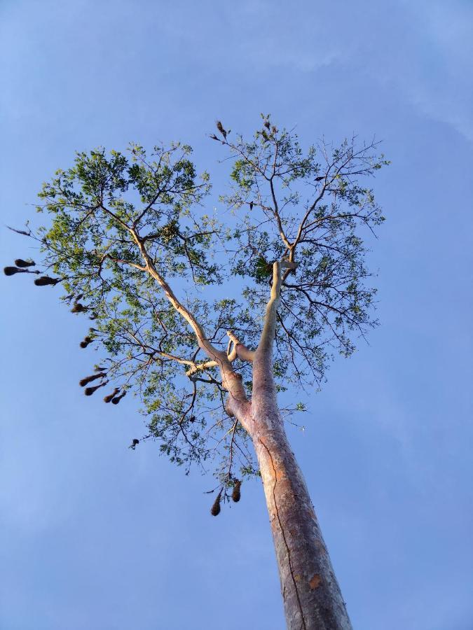 Bewak Cr Hotel Tortuguero Buitenkant foto
