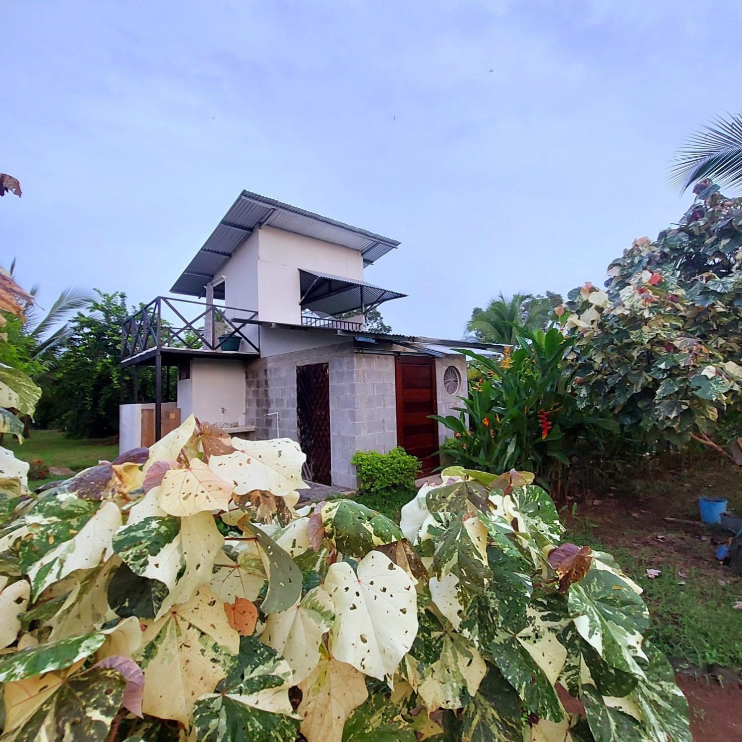 Bewak Cr Hotel Tortuguero Buitenkant foto