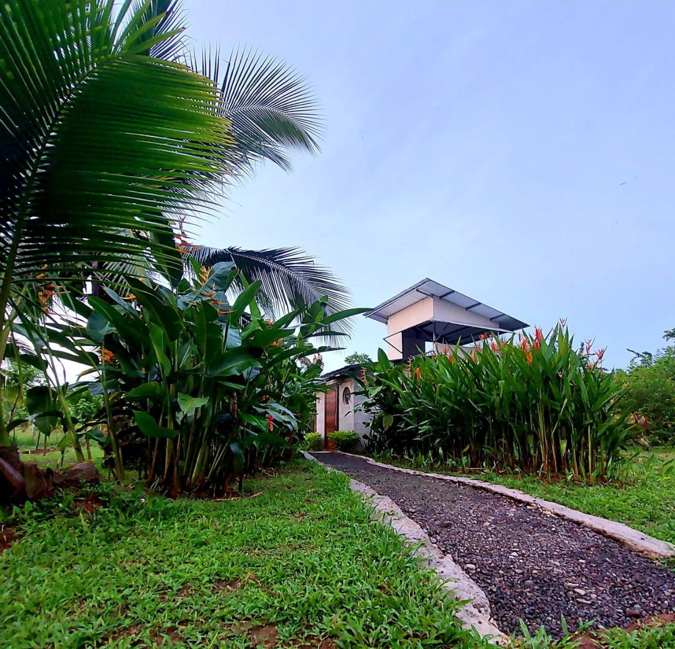 Bewak Cr Hotel Tortuguero Buitenkant foto